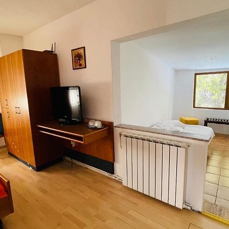 Pensiunea Luminita Buşteni エクステリア 写真