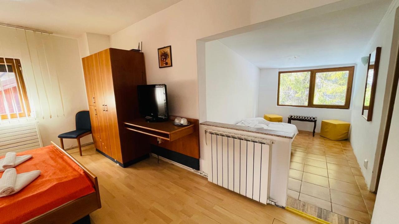 Pensiunea Luminita Buşteni エクステリア 写真